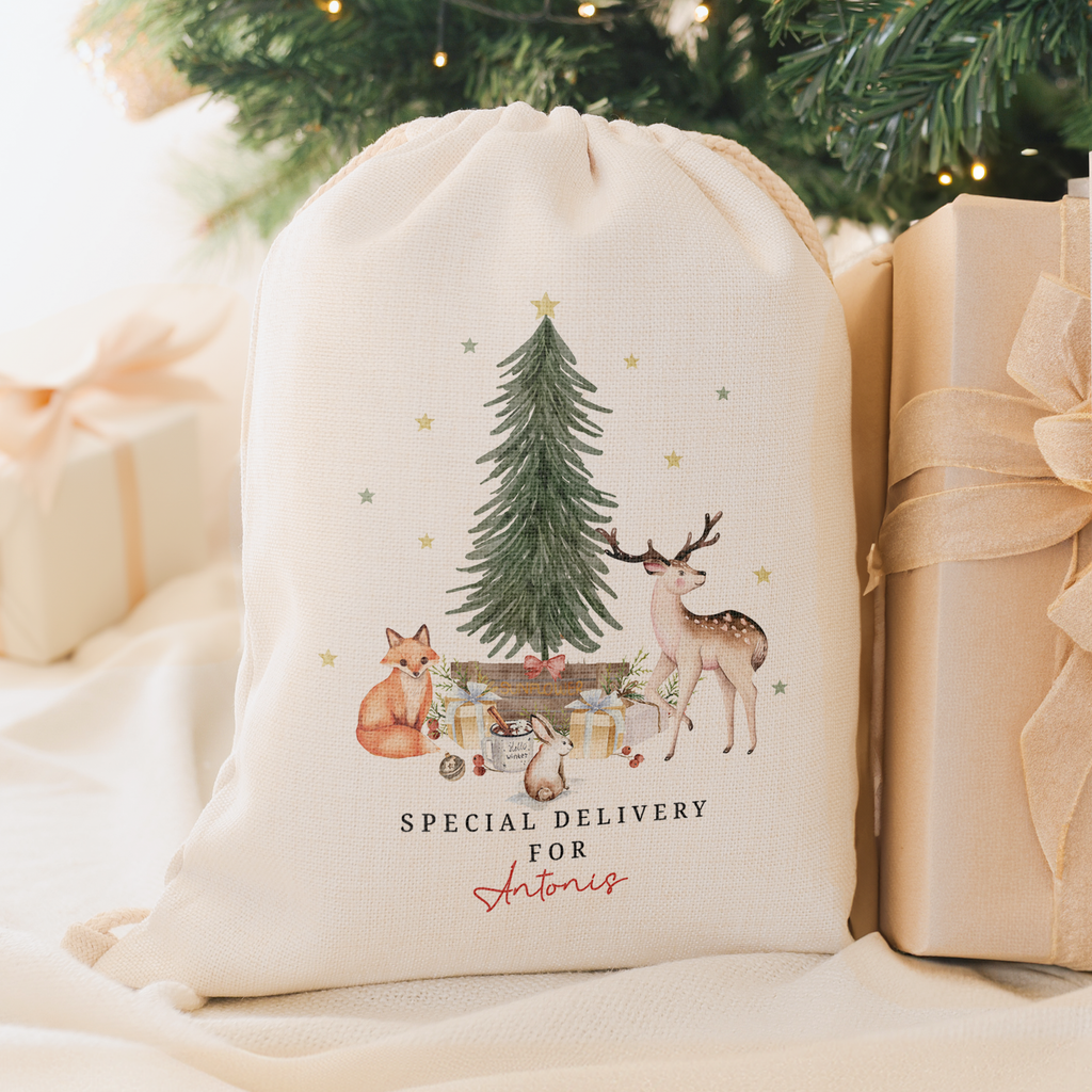 Special Delivery Forest Animals - Christmas Drawstring Sack